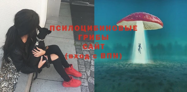 бутират Киреевск
